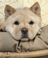 processed/9ad5b701-728f-4660-9fae-ee95fbdccd15/listing/b321ae9f-bef2-4ee8-999c-8c983a3bedb2/71a265f3-f764-48b1-b866-4bdcdd219627