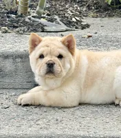 processed/9ad5b701-728f-4660-9fae-ee95fbdccd15/listing/b321ae9f-bef2-4ee8-999c-8c983a3bedb2/738956d8-9cda-4f9e-8de7-005dab46444d