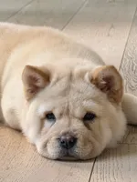 processed/9ad5b701-728f-4660-9fae-ee95fbdccd15/listing/b321ae9f-bef2-4ee8-999c-8c983a3bedb2/9a8f87f2-d382-418a-a6c5-9f0c81e274ce