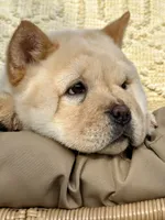 processed/9ad5b701-728f-4660-9fae-ee95fbdccd15/listing/b321ae9f-bef2-4ee8-999c-8c983a3bedb2/b6fc1b55-ea67-4a59-aee0-8d1a1b06f72c