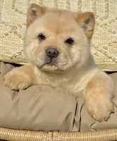 processed/9ad5b701-728f-4660-9fae-ee95fbdccd15/listing/e2566791-2cf2-41b6-b6c5-3a145db75449/2739b302-949d-46ed-a0fe-77333cda4353