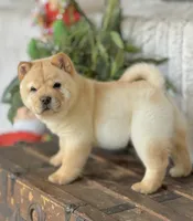 processed/9ad5b701-728f-4660-9fae-ee95fbdccd15/listing/e2566791-2cf2-41b6-b6c5-3a145db75449/538f1b58-ccea-4986-93b3-9ac626c7caa9