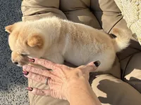 processed/9ad5b701-728f-4660-9fae-ee95fbdccd15/listing/e2566791-2cf2-41b6-b6c5-3a145db75449/9f221ab7-d630-419e-86ea-c0894d05c7e9