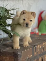 processed/9ad5b701-728f-4660-9fae-ee95fbdccd15/listing/e2566791-2cf2-41b6-b6c5-3a145db75449/ad2ad59a-390c-492d-aa0d-ecf18b6f143d