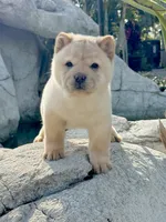 processed/9ad5b701-728f-4660-9fae-ee95fbdccd15/listing/e2566791-2cf2-41b6-b6c5-3a145db75449/b4927451-f90e-4e1a-9e33-8e6fd3991b33