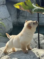 processed/9ad5b701-728f-4660-9fae-ee95fbdccd15/listing/e2566791-2cf2-41b6-b6c5-3a145db75449/dc4b7acf-243d-461a-bc61-6048ae5baaf4