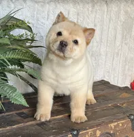 processed/9ad5b701-728f-4660-9fae-ee95fbdccd15/listing/e2566791-2cf2-41b6-b6c5-3a145db75449/e055afb4-e6f6-43ed-8ba0-c3ef57a2fd7e