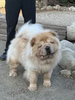 processed/9ad5b701-728f-4660-9fae-ee95fbdccd15/listing/e5a84811-a5da-4e26-bc98-8dc58d636ee5/0db8ce8a-e0d0-43ac-b315-408b50809176