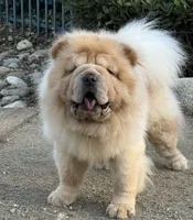 processed/9ad5b701-728f-4660-9fae-ee95fbdccd15/listing/e5a84811-a5da-4e26-bc98-8dc58d636ee5/4a2655b8-4bf9-45fd-98e8-1970b626de37