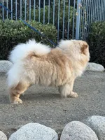 processed/9ad5b701-728f-4660-9fae-ee95fbdccd15/listing/e5a84811-a5da-4e26-bc98-8dc58d636ee5/4c90d192-4794-4efd-945b-b976948121bd