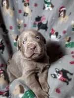 processed/9ad8ad77-0044-4a3f-96f7-fcd1ff21c244/listing/42538149-352a-4548-a693-0760c243fc48/187e8c68-3459-42b8-99e0-428dda4bf094