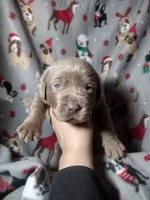 processed/9ad8ad77-0044-4a3f-96f7-fcd1ff21c244/listing/42538149-352a-4548-a693-0760c243fc48/906997ee-f228-417d-b56f-59dd0369be1e