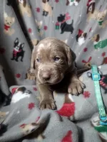 processed/9ad8ad77-0044-4a3f-96f7-fcd1ff21c244/listing/42538149-352a-4548-a693-0760c243fc48/91287df4-5be5-4090-ad64-9b58615e3084