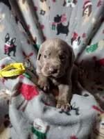 processed/9ad8ad77-0044-4a3f-96f7-fcd1ff21c244/listing/42538149-352a-4548-a693-0760c243fc48/a5e4d29b-3307-4ac1-994b-d0c4457210ff