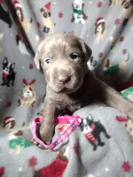 processed/9ad8ad77-0044-4a3f-96f7-fcd1ff21c244/listing/42538149-352a-4548-a693-0760c243fc48/b126c6e8-e6ce-4d35-9dba-987ff73e0f0d