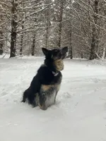 processed/9adfe62d-688d-4ca6-ac78-72f878a6f2a0/facility/2b683f25-5845-4381-ae81-0b0199ab397b