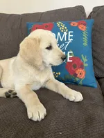 processed/9adfe62d-688d-4ca6-ac78-72f878a6f2a0/facility/65d5053b-ce81-4672-beed-831d2050fcda