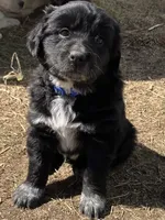 processed/9adfe62d-688d-4ca6-ac78-72f878a6f2a0/facility/7ed493bd-da48-4610-9414-fd7c30a3b042