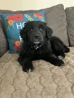 processed/9adfe62d-688d-4ca6-ac78-72f878a6f2a0/facility/ab360610-95fd-4b1f-8aa8-ecbcd5f11691