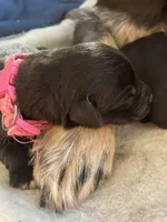 processed/9adfe62d-688d-4ca6-ac78-72f878a6f2a0/facility/b8e8ffa9-dec6-4588-b22e-309f617fe400