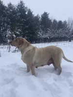 processed/9adfe62d-688d-4ca6-ac78-72f878a6f2a0/facility/c1735000-34b5-4c03-8d5c-d21ebc9642eb