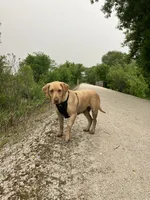 processed/9adfe62d-688d-4ca6-ac78-72f878a6f2a0/facility/f97e9ecd-3042-4b8f-825a-4f73122b42bb