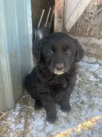 processed/9adfe62d-688d-4ca6-ac78-72f878a6f2a0/listing/1f067136-5a49-4290-ab94-c49bbde32f59/10fd27f5-f786-4f22-af67-08b37c78e8ee