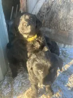 processed/9adfe62d-688d-4ca6-ac78-72f878a6f2a0/listing/1f067136-5a49-4290-ab94-c49bbde32f59/182e2258-2533-467b-b151-ee420149c501