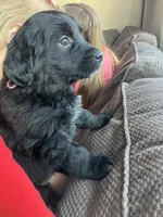 processed/9adfe62d-688d-4ca6-ac78-72f878a6f2a0/listing/22a0dd6c-fa8e-4278-80a0-723882ebf74e/6f8df9c2-21a4-4fe1-ac24-64b47f7b8949