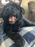 processed/9adfe62d-688d-4ca6-ac78-72f878a6f2a0/listing/22a0dd6c-fa8e-4278-80a0-723882ebf74e/9438722e-41a8-44e6-973d-94cdf51b240d