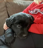 processed/9adfe62d-688d-4ca6-ac78-72f878a6f2a0/listing/22a0dd6c-fa8e-4278-80a0-723882ebf74e/b00395c4-9e6a-4acc-85cb-a118643ed4e2