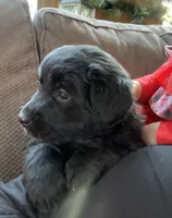 processed/9adfe62d-688d-4ca6-ac78-72f878a6f2a0/listing/22a0dd6c-fa8e-4278-80a0-723882ebf74e/dd8d824f-d341-49e9-b04d-bb663f34a447