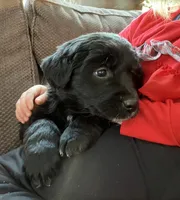 processed/9adfe62d-688d-4ca6-ac78-72f878a6f2a0/listing/22a0dd6c-fa8e-4278-80a0-723882ebf74e/f77c1b1f-7580-4735-99e2-9e412f314cd8