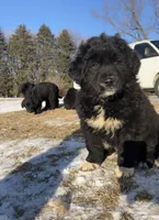 processed/9adfe62d-688d-4ca6-ac78-72f878a6f2a0/listing/264e680f-ab90-4602-ac76-9db03617e5f9/b4533962-823f-43ac-bf0e-c5785b066e33