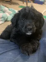 processed/9adfe62d-688d-4ca6-ac78-72f878a6f2a0/listing/a471fe75-38fa-4529-82bc-350a27f8fd68/2a04950d-47be-4099-b41e-ce3341a4fa52