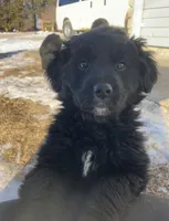 processed/9adfe62d-688d-4ca6-ac78-72f878a6f2a0/listing/a471fe75-38fa-4529-82bc-350a27f8fd68/64ab01bb-6140-4aa3-b926-c502a4ba7299