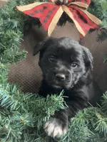 processed/9adfe62d-688d-4ca6-ac78-72f878a6f2a0/listing/b8983098-7525-4100-a096-d3fb8fd29684/1a6eda97-76c8-4861-8c8d-65074834b95e