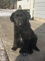 processed/9adfe62d-688d-4ca6-ac78-72f878a6f2a0/listing/b8983098-7525-4100-a096-d3fb8fd29684/339e3dca-86c4-4654-b79f-1170cd25ec4b