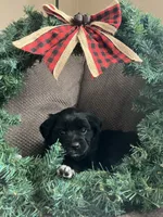 processed/9adfe62d-688d-4ca6-ac78-72f878a6f2a0/listing/b8983098-7525-4100-a096-d3fb8fd29684/b289ea68-fa77-498b-8753-ccda6216eec0