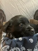 processed/9adfe62d-688d-4ca6-ac78-72f878a6f2a0/listing/bfd444b9-3d89-45d4-b434-c80bd3cedb6f/4ae3d0d1-2463-4383-8ddd-cf698f53ae60