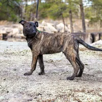 processed/9ae3441d-49a9-40e4-b945-b4f0fbfc2d74/facility/02beb9fc-7b8c-45b2-81a4-a2c42e36a74f