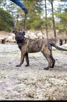 processed/9ae3441d-49a9-40e4-b945-b4f0fbfc2d74/facility/02beb9fc-7b8c-45b2-81a4-a2c42e36a74f