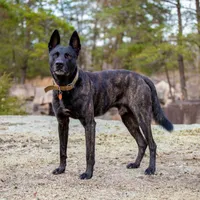 processed/9ae3441d-49a9-40e4-b945-b4f0fbfc2d74/facility/3127ff8a-9f1a-4da0-b5a9-e4cf10a967c9