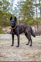 processed/9ae3441d-49a9-40e4-b945-b4f0fbfc2d74/facility/3127ff8a-9f1a-4da0-b5a9-e4cf10a967c9