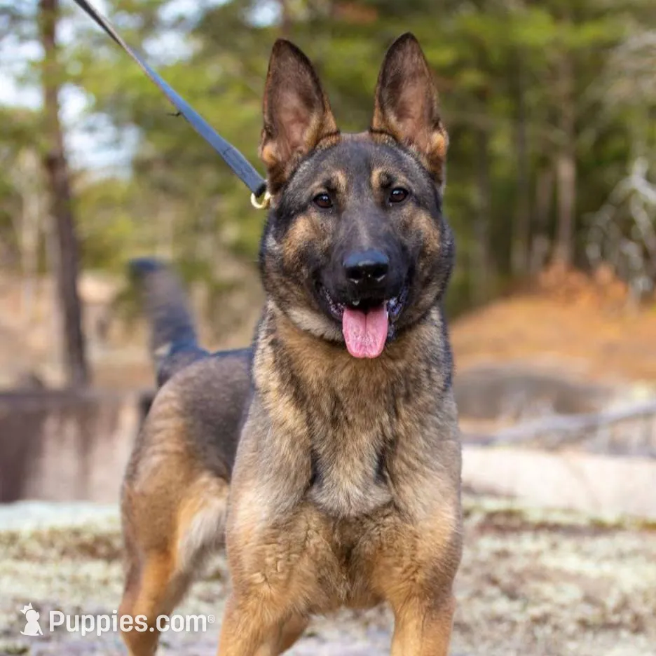 processed/9ae3441d-49a9-40e4-b945-b4f0fbfc2d74/facility/421ee3cc-a8a7-40ab-aa86-b949623904bb