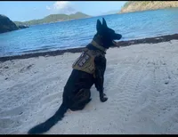 processed/9ae3441d-49a9-40e4-b945-b4f0fbfc2d74/facility/98895d36-d4ca-4f17-8607-727402ff8901