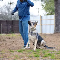 processed/9ae3441d-49a9-40e4-b945-b4f0fbfc2d74/facility/b0516504-9aca-479f-bac2-9afb2a26211e