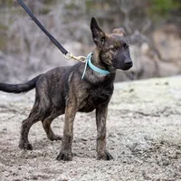 processed/9ae3441d-49a9-40e4-b945-b4f0fbfc2d74/facility/d452b6e6-2e8b-4114-b73d-843fccaf8207