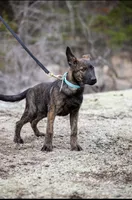 processed/9ae3441d-49a9-40e4-b945-b4f0fbfc2d74/facility/d452b6e6-2e8b-4114-b73d-843fccaf8207