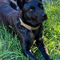 processed/9ae3441d-49a9-40e4-b945-b4f0fbfc2d74/facility/f87b3468-bb8d-486e-b06f-2d24013d587e